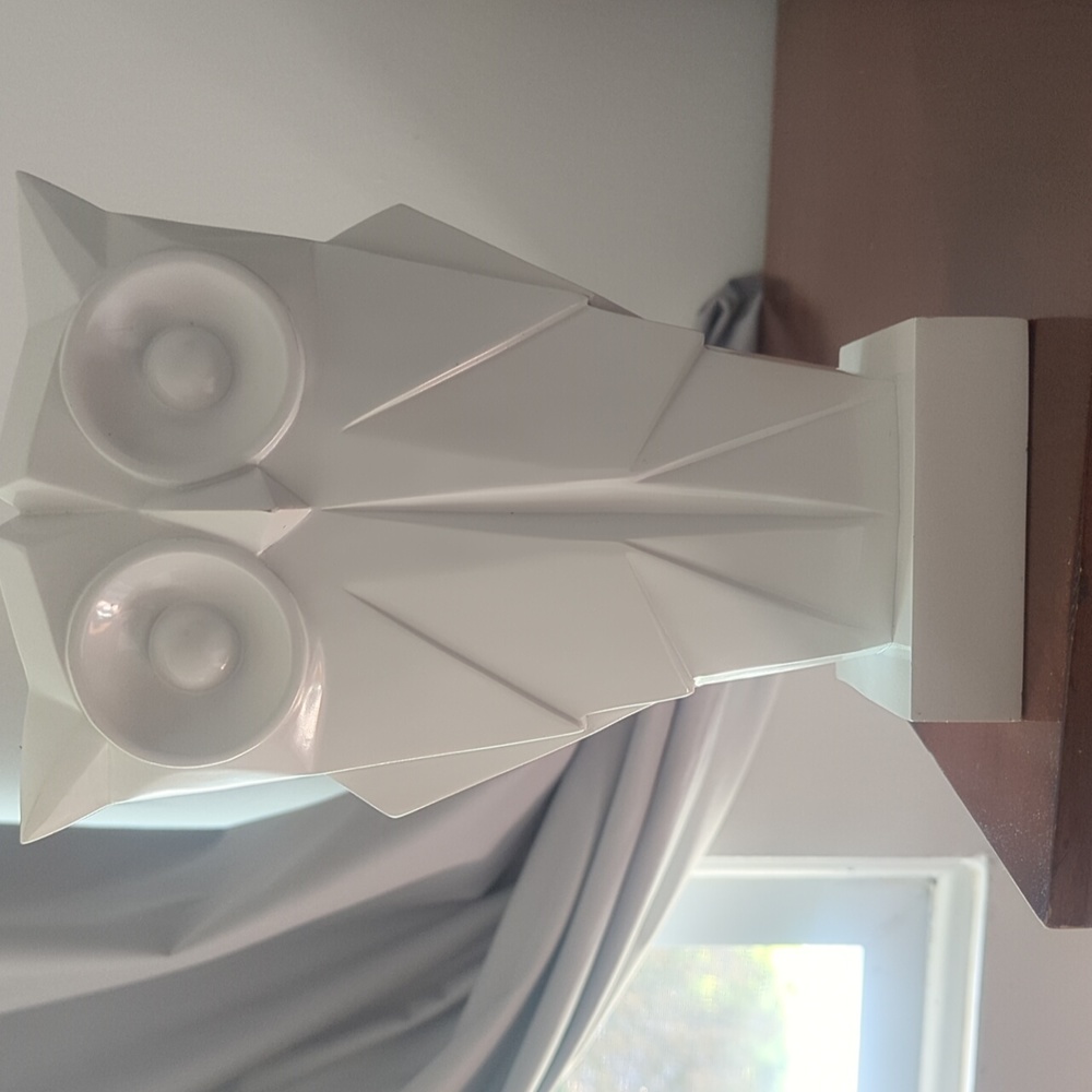 White Origami Owl